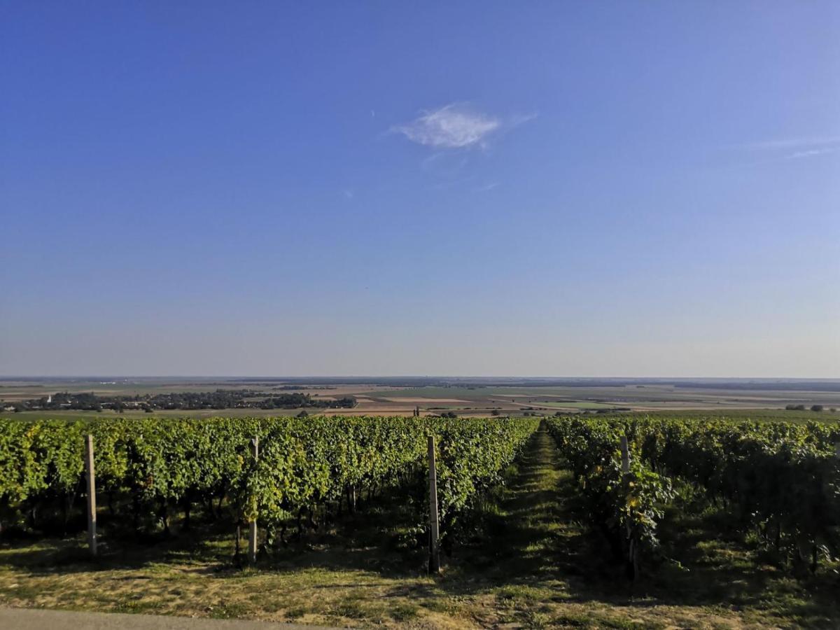 Villa Kuca Za Odmor Kiss-Karanac,Baranja Exterior foto