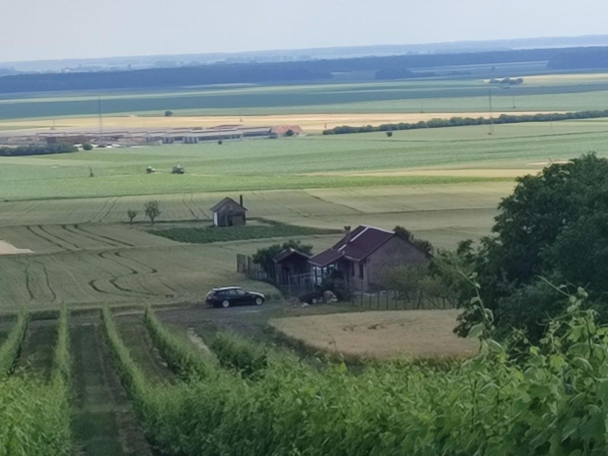 Villa Kuca Za Odmor Kiss-Karanac,Baranja Exterior foto