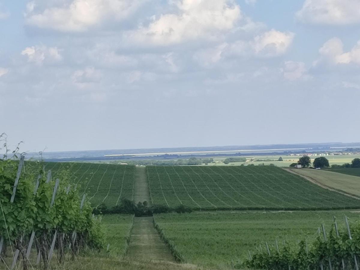 Villa Kuca Za Odmor Kiss-Karanac,Baranja Exterior foto