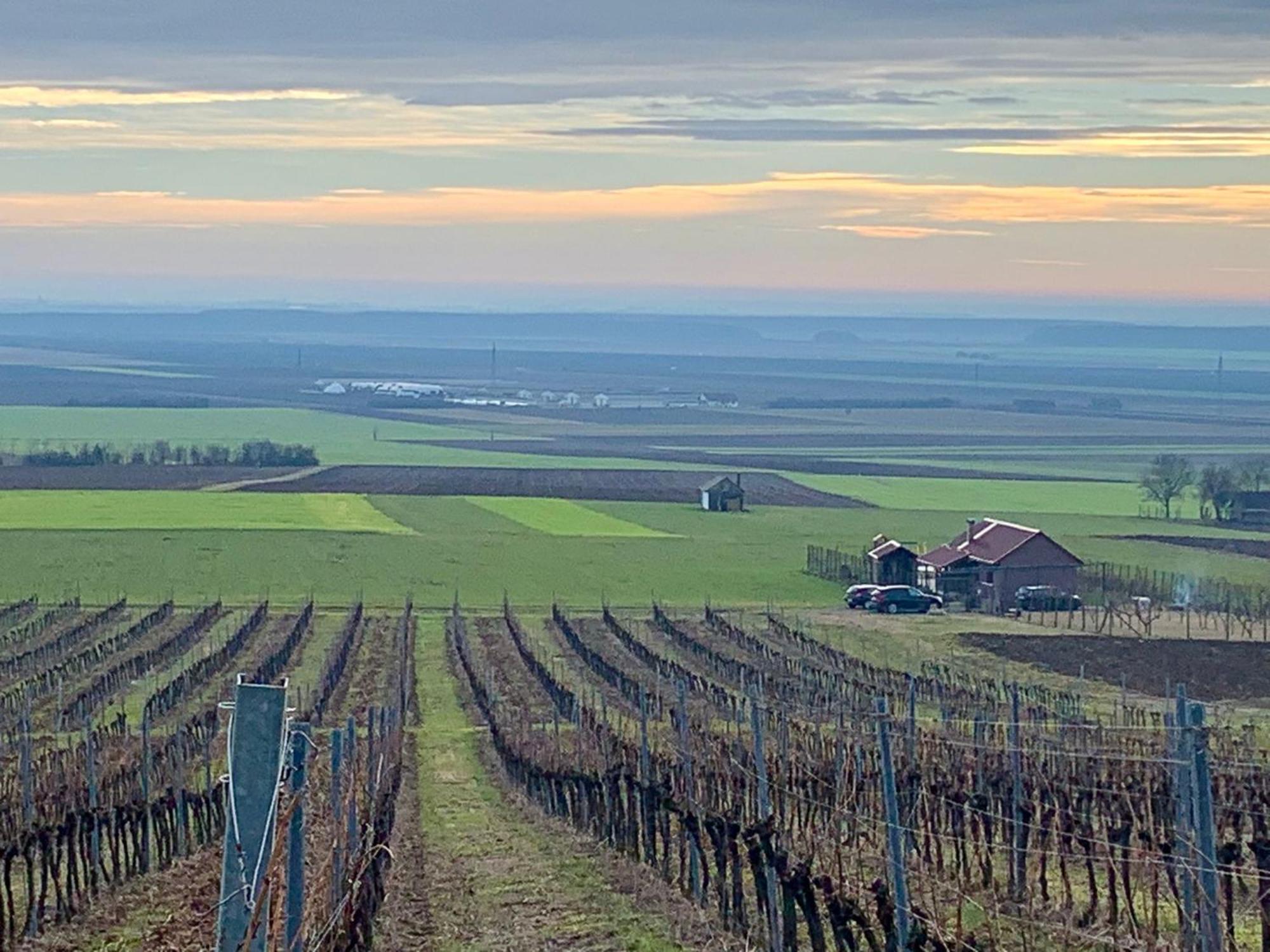 Villa Kuca Za Odmor Kiss-Karanac,Baranja Exterior foto